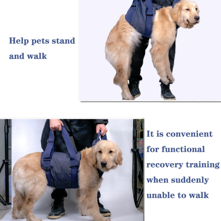 Pet Leash Senior Dogs Walking Aids Chest Harness