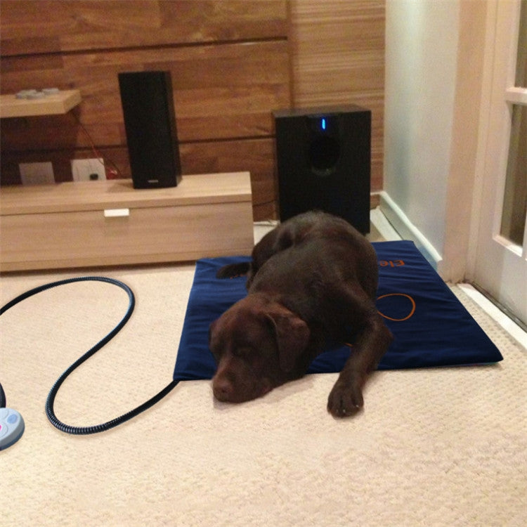 Pet Heating Pad Waterproof and Anti-Scratch Electric Blanket, Size: 60x45cm