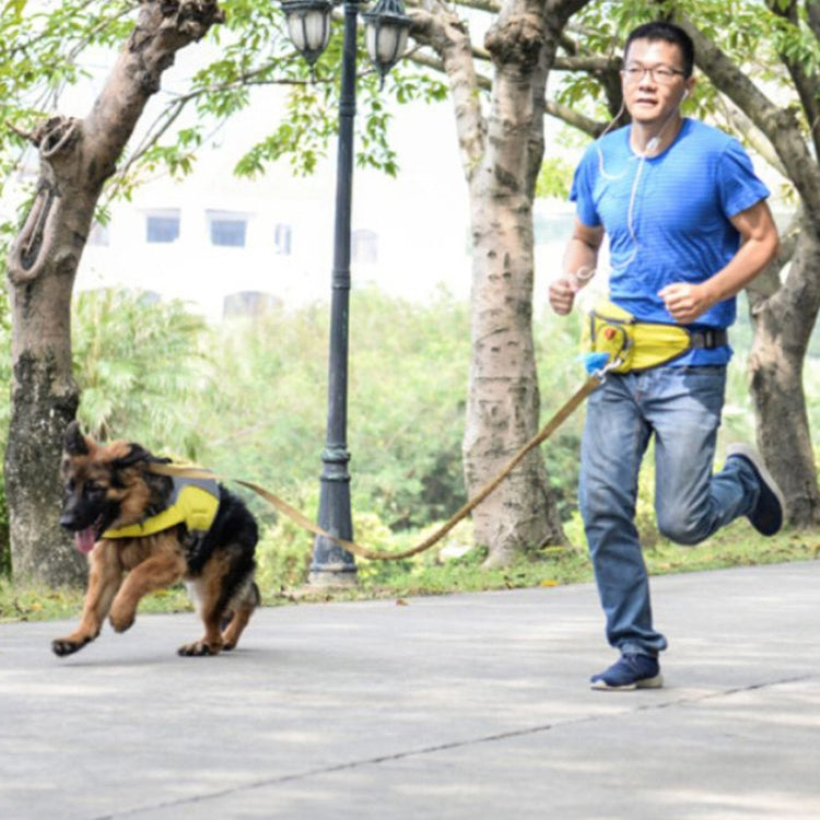 Lovoyager Pet Training Waist Bag Outdoor Walking Dog Snack Pocket