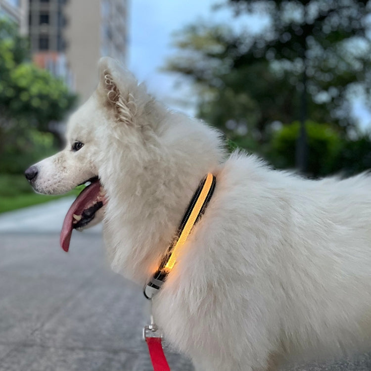 LED Rechargeable Wear-resistant and Waterproof Pet Lighting Collar, Size: