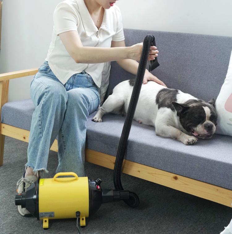 2100W Dog Dryer Stepless Speed Pet Hair Blaster With Vacuum Cleaner