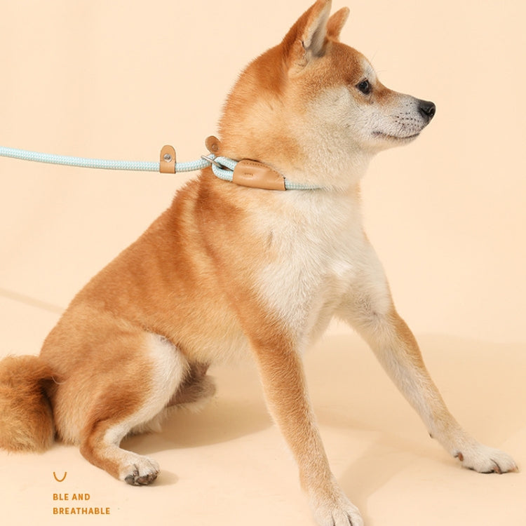Dog Traction Rope Mid Large Dog Universal Safety Buckle Chain Circle