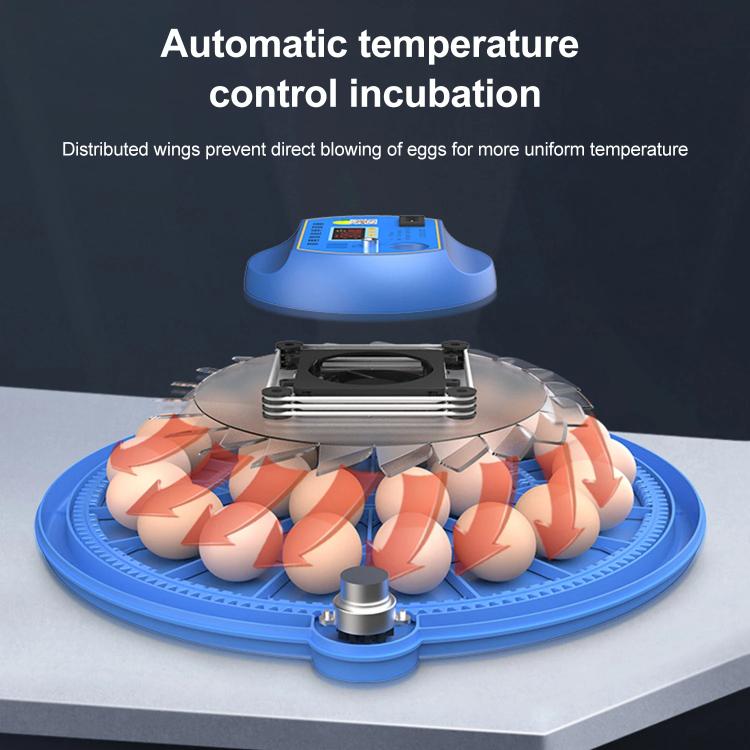 Automatic Incubator Supports 12V And 220V Power Supply, EU Plug