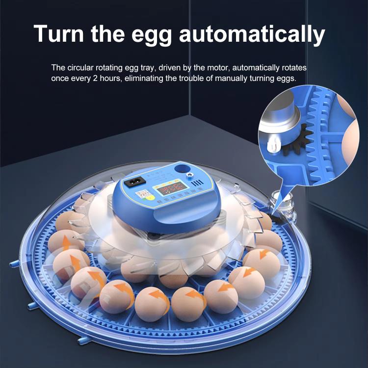 Automatic Incubator Supports 12V And 220V Power Supply, EU Plug