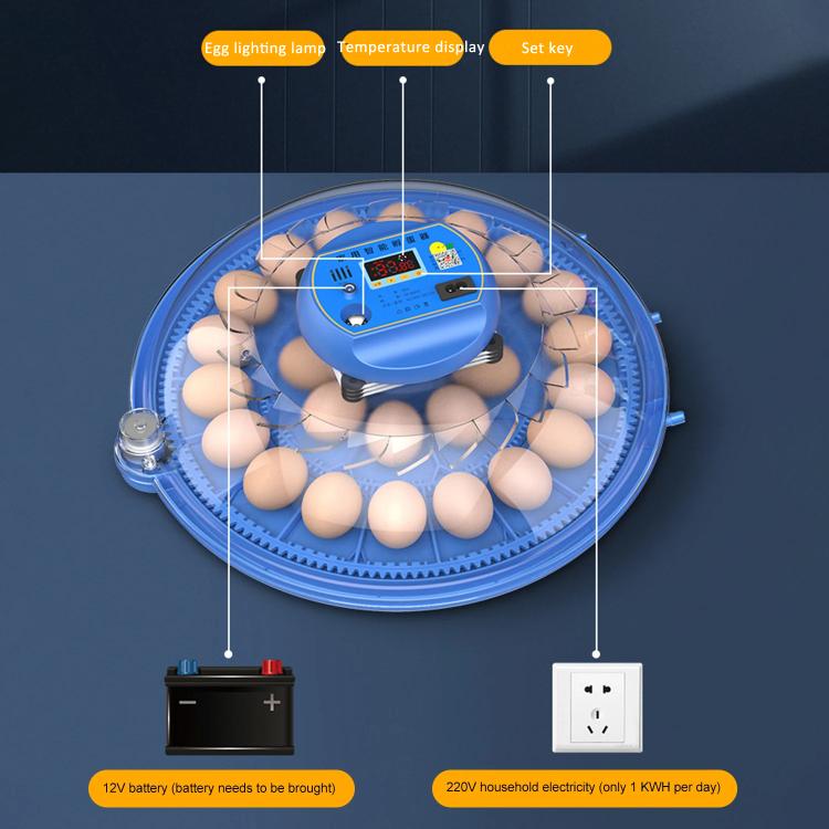 Automatic Incubator Supports 12V And 220V Power Supply, EU Plug
