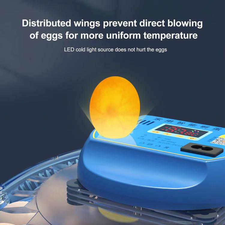 Automatic Incubator Supports 12V And 220V Power Supply, EU Plug