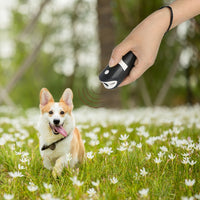 RC-534 Handheld Portable Ultrasonic Dog Repeller with LED Lights