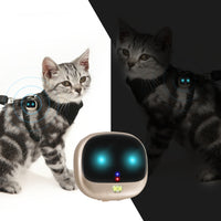 ReachFar RF-V47 IP67 Multi-function Mini GPS Pet Tracker with LED Light & Back Clip