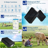 RF-V34 Sheep Cow Cattle Livestock Solar GSM GPS WiFi Tracking