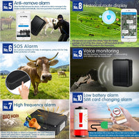 RF-V34 Sheep Cow Cattle Livestock Solar GSM GPS WiFi Tracking