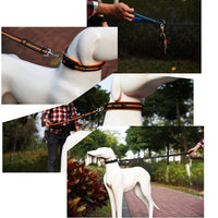 Pet Dogs Nylon Night Reflective Breathable Handheld Traction Lead Leash, Size: M, Adjustable Range: 2.5*(100-140cm)