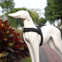 Pet Dogs A7 Reflective Polyester Chest Harness Lead Leash Traction Big Dogs Safety Chain Rope Collar, Size: XS, 2.0*42*50cm
