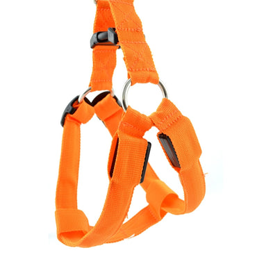 Double Sided LED Light Pet Harness Nylon Cat Dog Chest Strap Leash