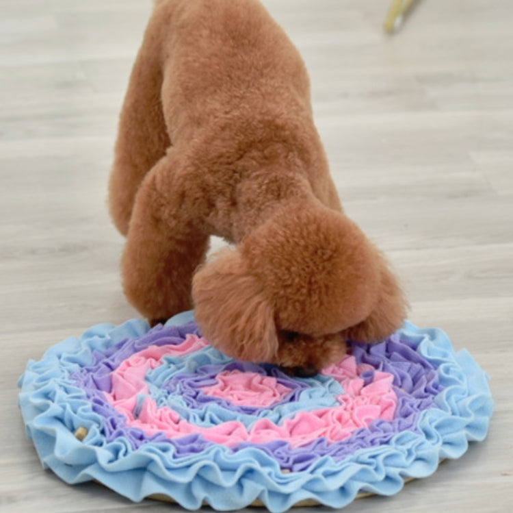 Pet Dogs Consume Energy Slow Food Relieve Stress Sniff Pad