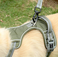 Dog Outdoor Anti-Scourge Traction Rope Nylon Reflective Elastic Stretch Dog Walking Rope