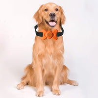 Automatic Voice Control Bark Arrester Collar Pet Supplies Trainer