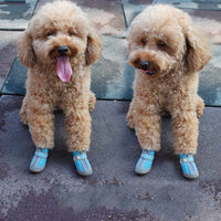 4 PCS / Set Breathable Non-slip Wear-resistant Dog Shoes Pet Supplies