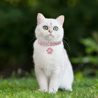 Pet Collar Diamond Elastic Cat And Dog Necklace Jewelry