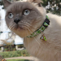 Pet Webbing Fruit Cat Collar With Fruit Accessories Bell Pet Collar