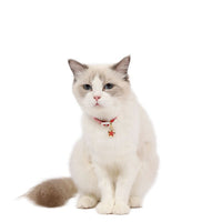 Adjustable Pet Flower Hollow Bell Collar Cat Dog Collar Accessories