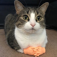 Pet Massage Finger Cots and Cat Gloves