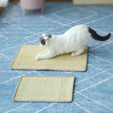 Cat Scratch Pad Pet Supplies Carpet Sleeping Mat Cat Placemat, Random Color Delivery