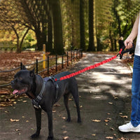 HCPET Dog Traction Rope Pet High-Elastic Explosion-Proof Elastic Rope
