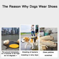 JML Pet Sports Shoes Non-Slip Wear-Resistant Comfortable Breathable Dog Shoes