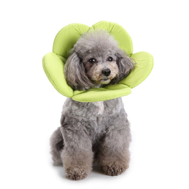 Pet Protection Collar Dog Flower Protection Collar
