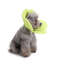 Pet Protection Collar Dog Flower Protection Collar