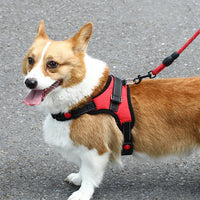 K9 Dog Adjustable Chest Strap, Size: