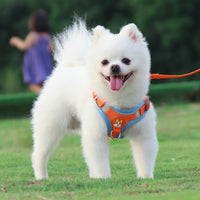 BL-867 Pet Chest Straps Reflective Dog Traction Rope, Size: