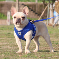 BL-844 Pet Chest Straps Reflective Breathable Dog Rope, Size: