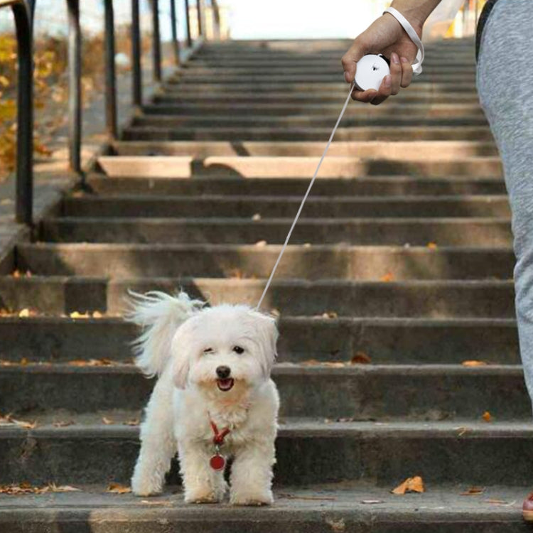 Automatic Telescopic Dog Traction Rope Small Pet Retractor
