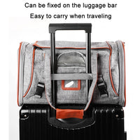 LDLC QS-012 Pet Outing Portable Breathable Foldable Tote Bag