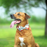 Rose Gold Buckle Pet Detachable Bow Collar, Size: