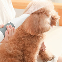 3 in 1 600W Pet Electric High Wind Hair Removal Blowing Combs, Specification: