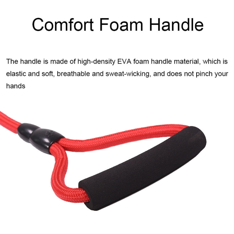Sh36 Rock Climbing Rope Pet Leash Bold and Long Dog Training Tracking Rope