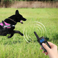 Pet Smart Electric Shock Training Waterproof Collar Dog Training Device