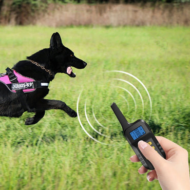 Pet Smart Electric Shock Training Waterproof Collar Dog Training Device