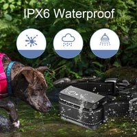 Pet Smart Electric Shock Training Waterproof Collar Dog Training Device