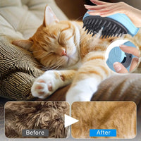 Pet Spray Steamy Brush Cat Dog Grooming Massage Comb