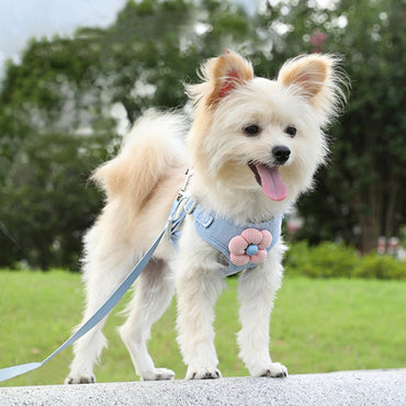 Pet Puppy Dog Leash Vest Teddy Chest Belt Chain Dog Walking Leash