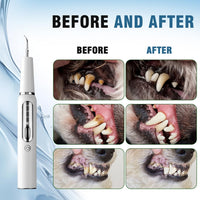 Pet Ultrasonic Teeth Cleaner Dog Electric Teeth Cleaning Tool Home Dentistry Tartar Remover