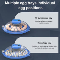 Automatic Incubator Supports 12V And 220V Power Supply, EU Plug