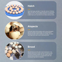 Automatic Incubator Supports 12V And 220V Power Supply, EU Plug
