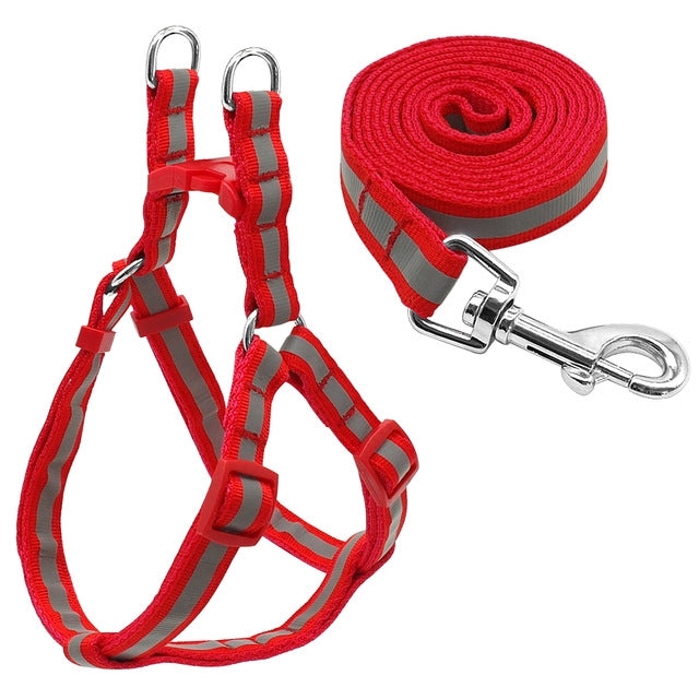 Small Medium Dogs Nylon Reflective Dog Leash Lead Set