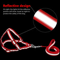Small Medium Dogs Nylon Reflective Dog Leash Lead Set
