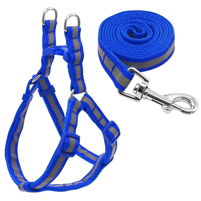 Small Medium Dogs Nylon Reflective Dog Leash Lead Set