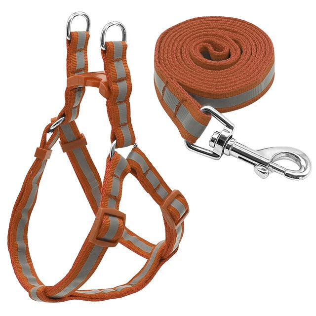 Small Medium Dogs Nylon Reflective Dog Leash Lead Set